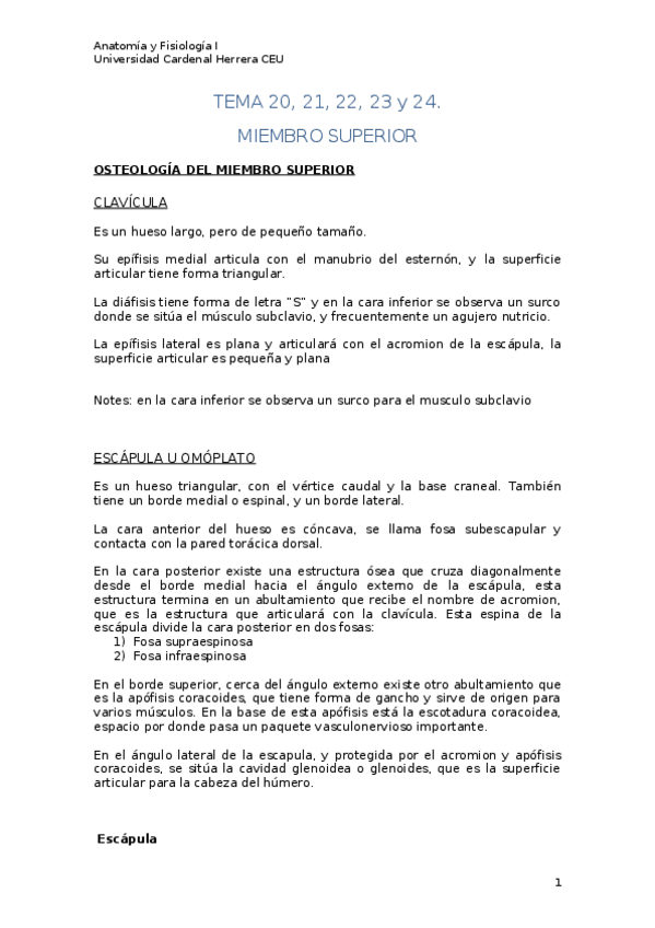 Miniatura del documento T20-24.docx
