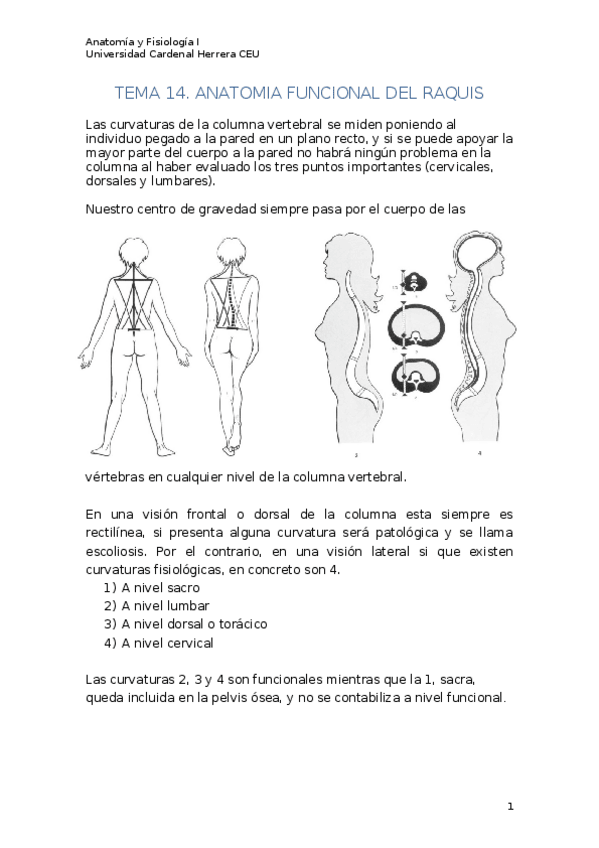 Miniatura del documento T14-19.docx