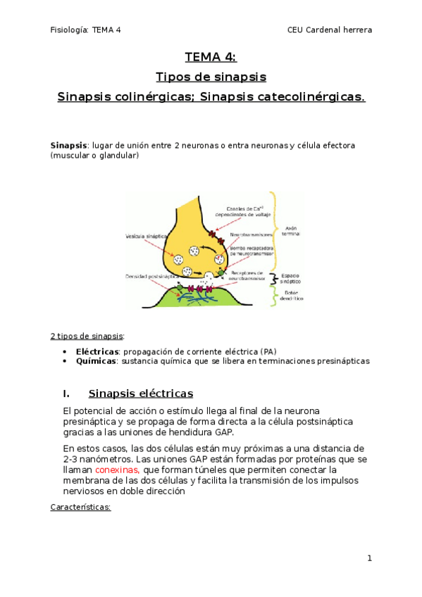 Miniatura del documento tema-4-fisio.docx