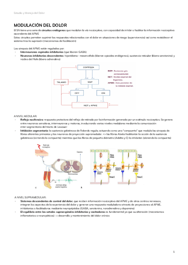 Miniatura del documento MODULACION-DEL-DOLOR-2.pdf