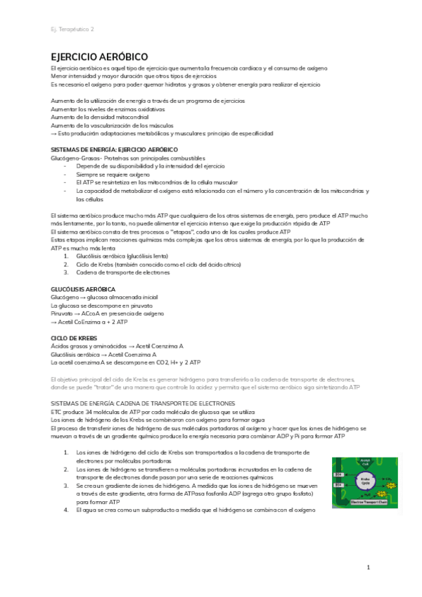 Miniatura del documento 2.-EJERCICIO-AEROBICO.pdf