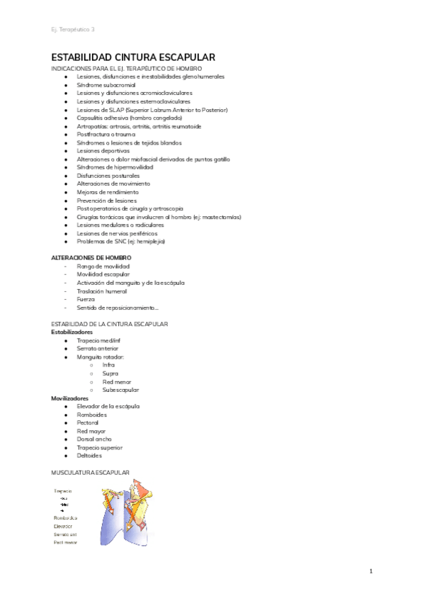 Miniatura del documento 3.-ESTABILIDAD-CINTURA-ESCAPULAR.pdf