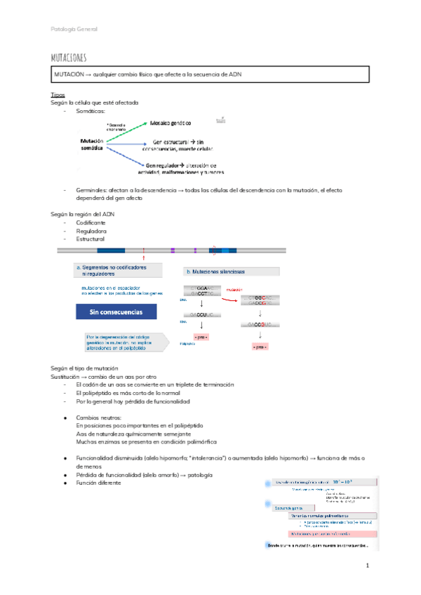 Miniatura del documento MUTACIONES.pdf