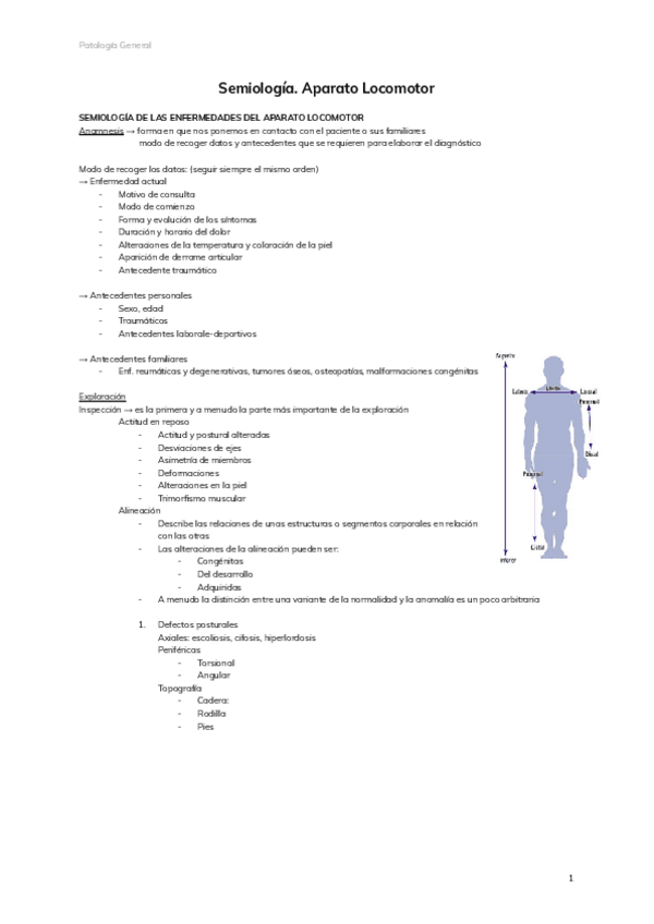 Miniatura del documento Semiologia.pdf