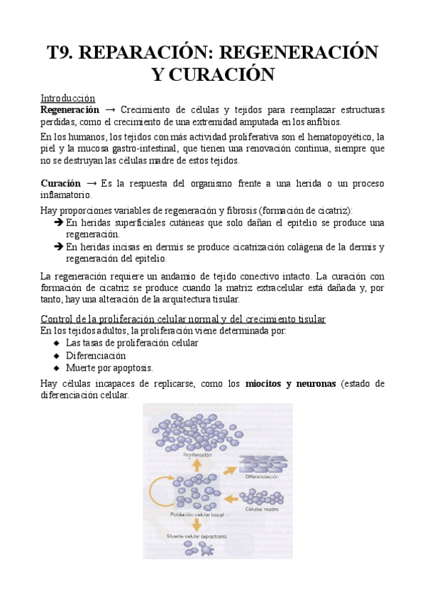 Miniatura del documento T9.-Reparacion-regeneracion-y-curacion.pdf
