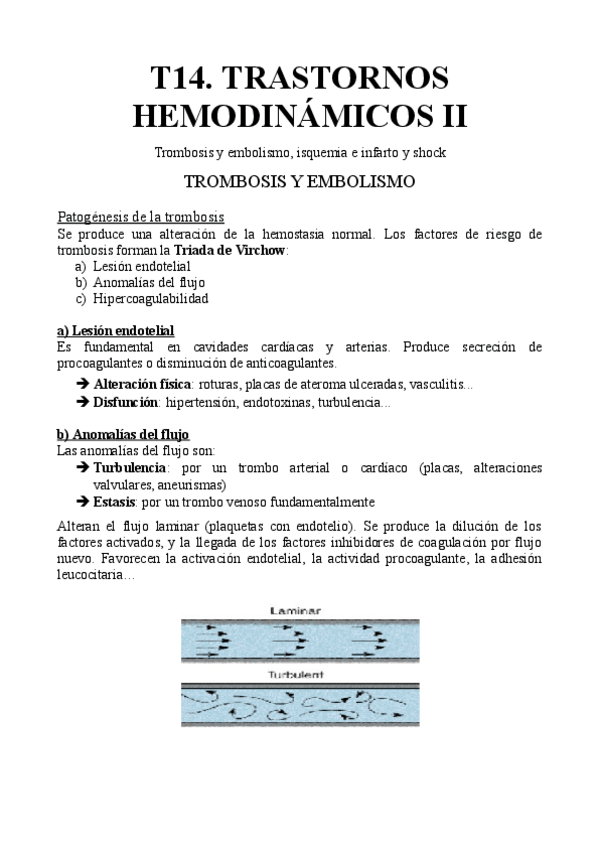 Miniatura del documento T14.-Trastornos-hemodinamicos-II.pdf