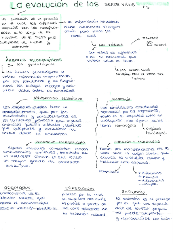 Miniatura del documento Apuntes-La-evolucion-de-los-seres-vivos.pdf