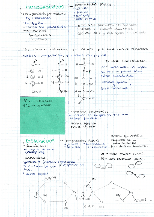 Miniatura del documento Apuntes-Glucidos.pdf