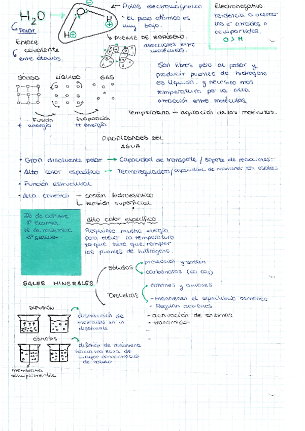 Miniatura del documento Apuntes-H2O.pdf