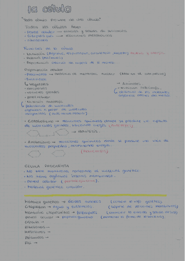 Miniatura del documento Apuntes-Celula.pdf