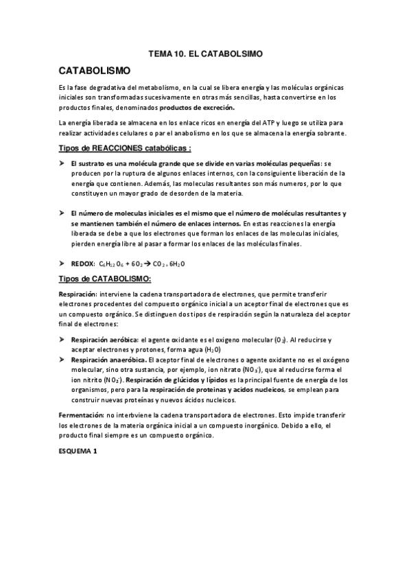 Miniatura del documento TEMA-12.-EL-CATABOLISMO.pdf