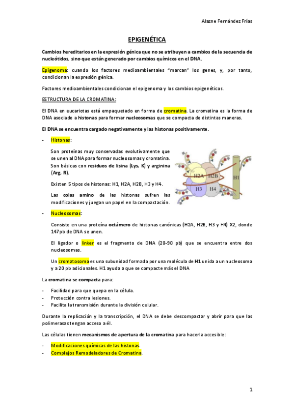 Miniatura del documento EPIGENETICA.pdf