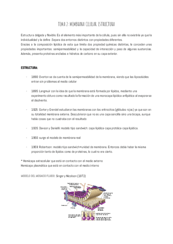 Miniatura del documento TEMA-2-MEMBRANA-CELULAR.pdf