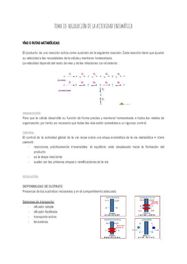 Miniatura del documento TEMA-10-REGULACION-DE-LA-ACTIVIDAD-ENZIMATICA.pdf