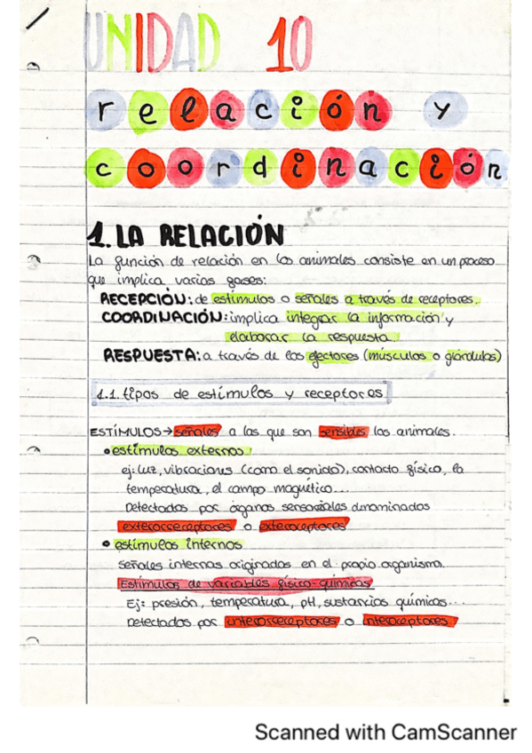 Miniatura del documento RELACION-Y-COORDINACION.pdf