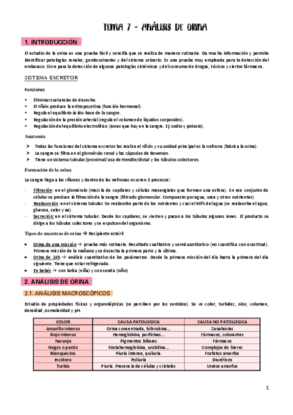 Miniatura del documento BIOQUIMICA-T7.-ANALISIS-DE-ORINA.pdf