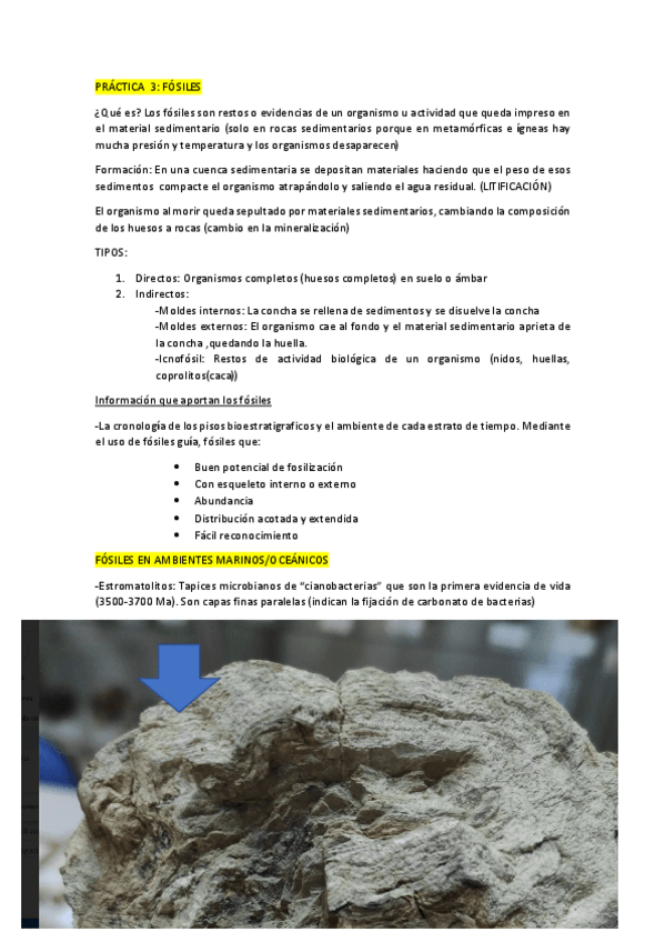 Miniatura del documento Apuntes-fosiles.pdf