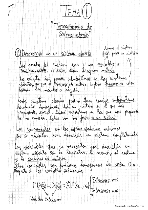 Miniatura del documento Termo-II-Tema-1-Teoria.pdf