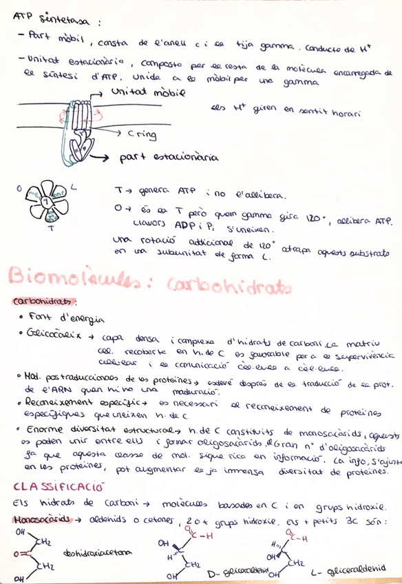 Miniatura del documento Biomolecules.jpg