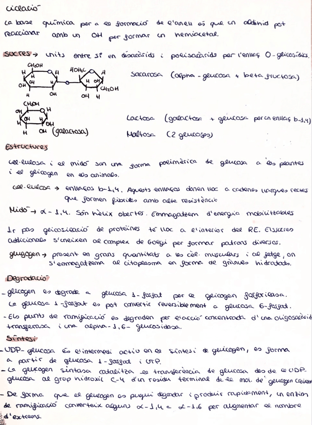 Miniatura del documento Biomolecules-II.jpg