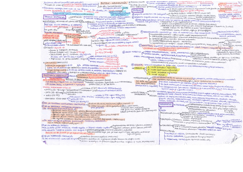 Miniatura del documento Esquemas-Fisiopatologia.pdf