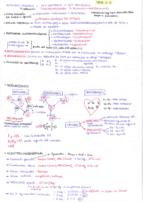 Miniatura del documento Esquemas-ECG.pdf