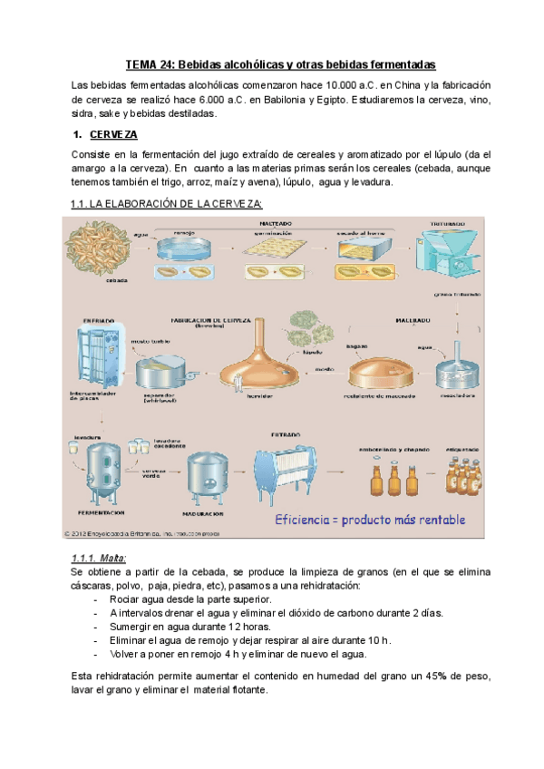 Miniatura del documento Tema-24-BM.pdf