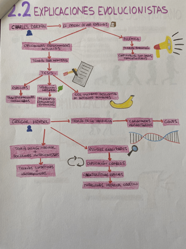 Miniatura del documento 3.pdf