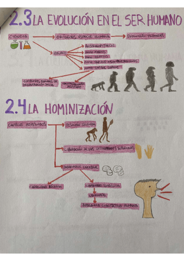 Miniatura del documento 4.pdf