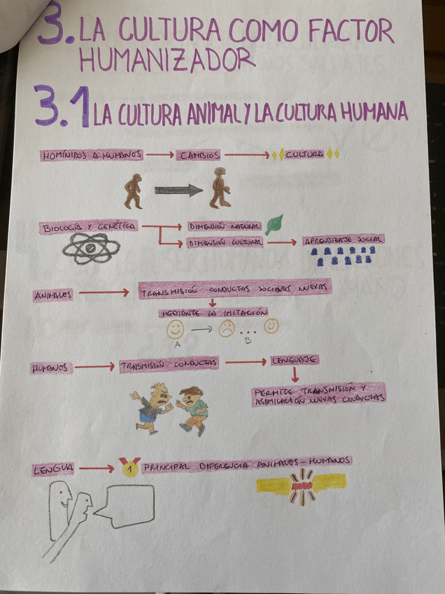 Miniatura del documento 5.pdf
