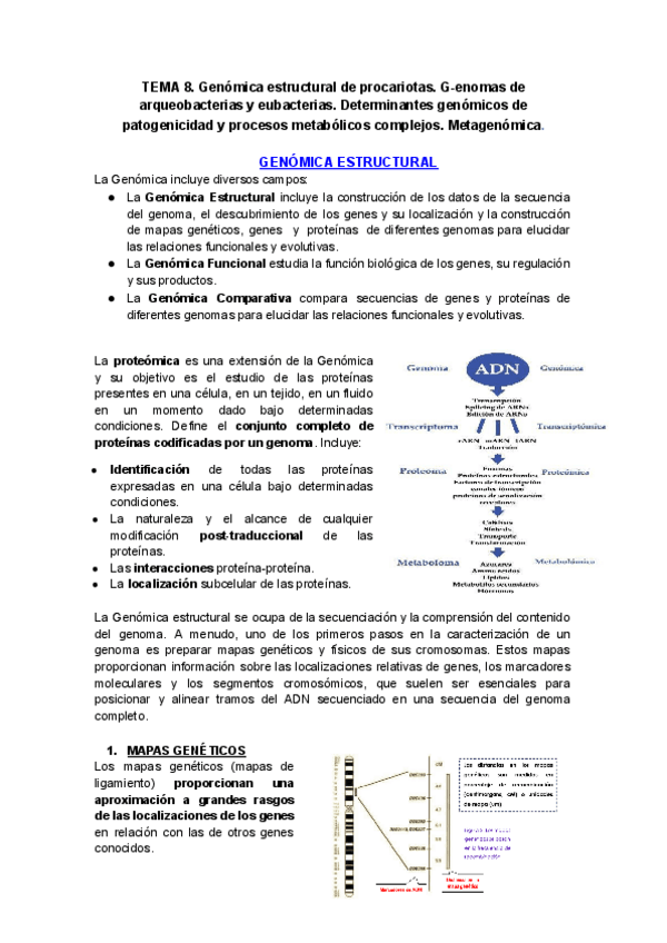 Miniatura del documento Tema-8.pdf