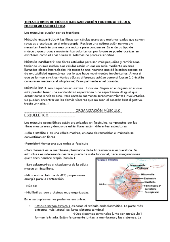 Miniatura del documento TEMA-08.pdf