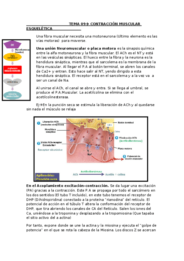 Miniatura del documento TEMA-09.pdf
