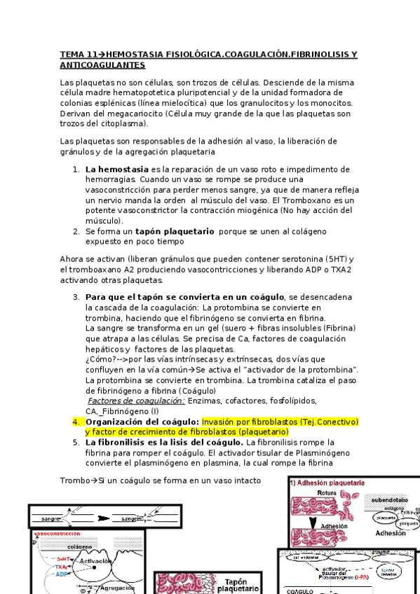 Miniatura del documento TEMA-11.pdf