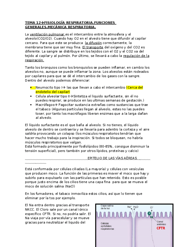Miniatura del documento TEMA-12.pdf
