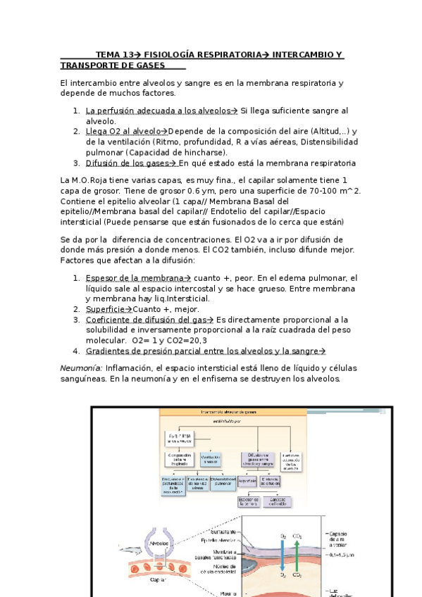 Miniatura del documento TEMA-13.pdf