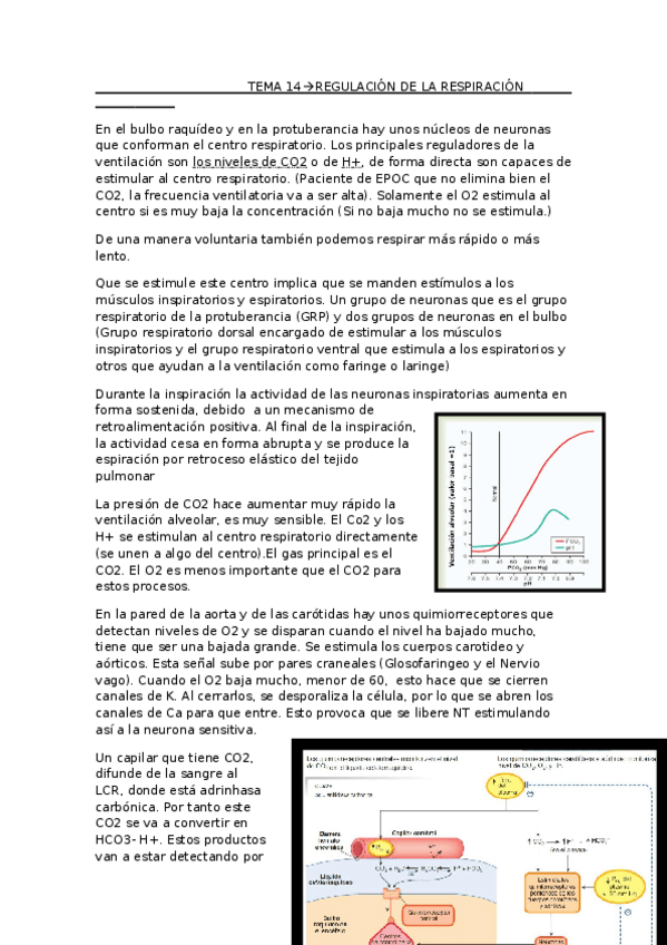 Miniatura del documento TEMA-14.pdf