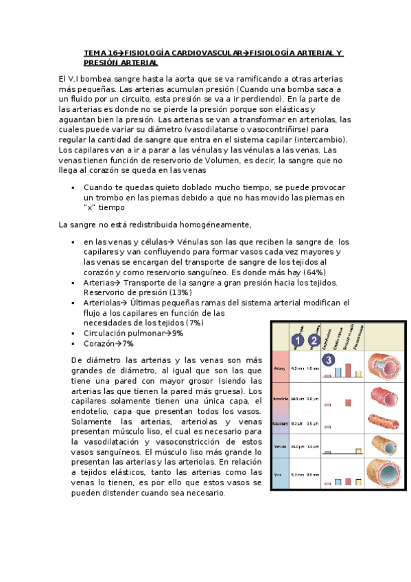 Miniatura del documento TEMA-16.pdf