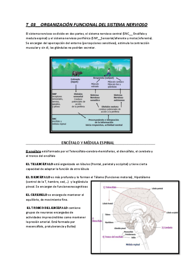 Miniatura del documento TEMA-03.pdf