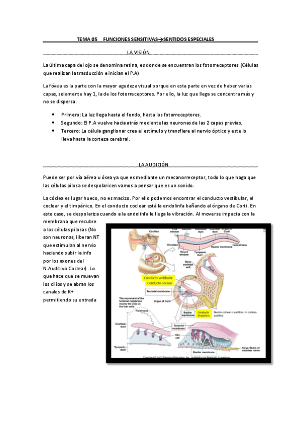 Miniatura del documento TEMA-05B.pdf
