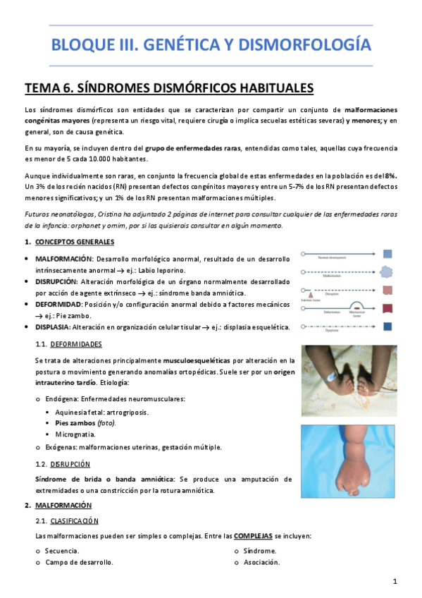 Miniatura del documento BLOQUE-III.-GENETICA-Y-DISMORFOLOGIAS.pdf