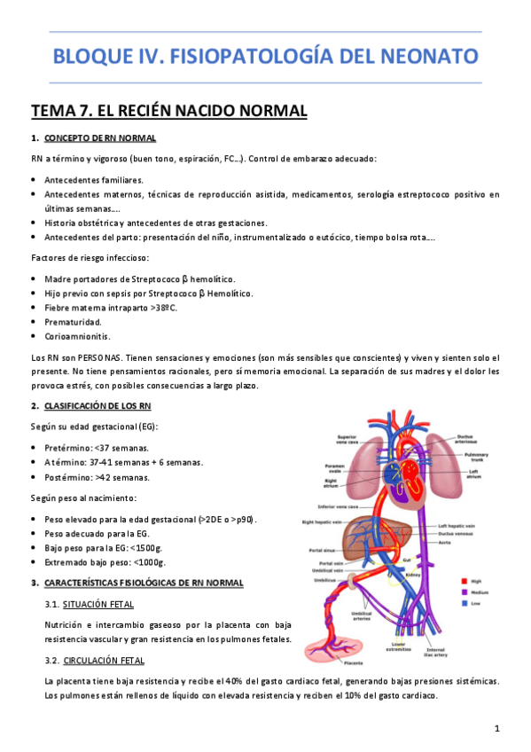 Miniatura del documento BLOQUE-IV.-FISIOPATOLOGIA-Y-PATOLOGIA-DEL-RN.pdf