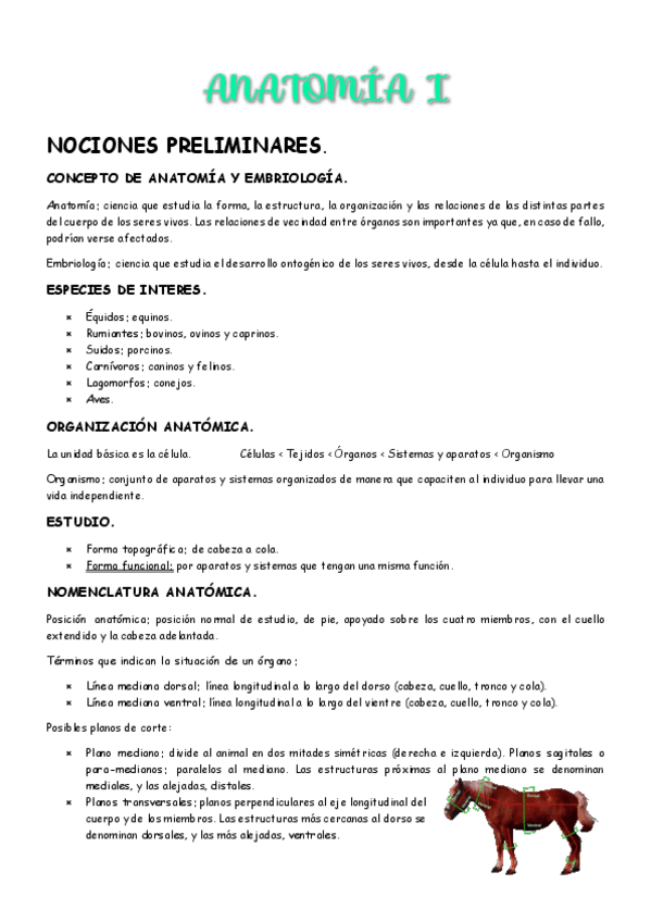 Miniatura del documento 1er-parcial-Anatomia-I.pdf