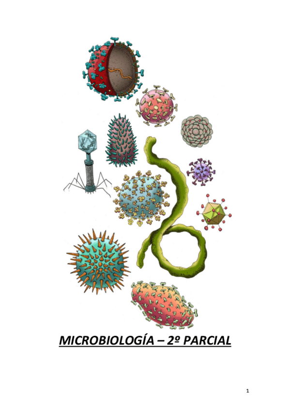 Miniatura del documento apuntes-segundo-parcial.pdf