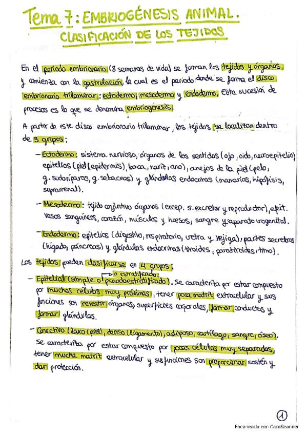Miniatura del documento tema-7.pdf
