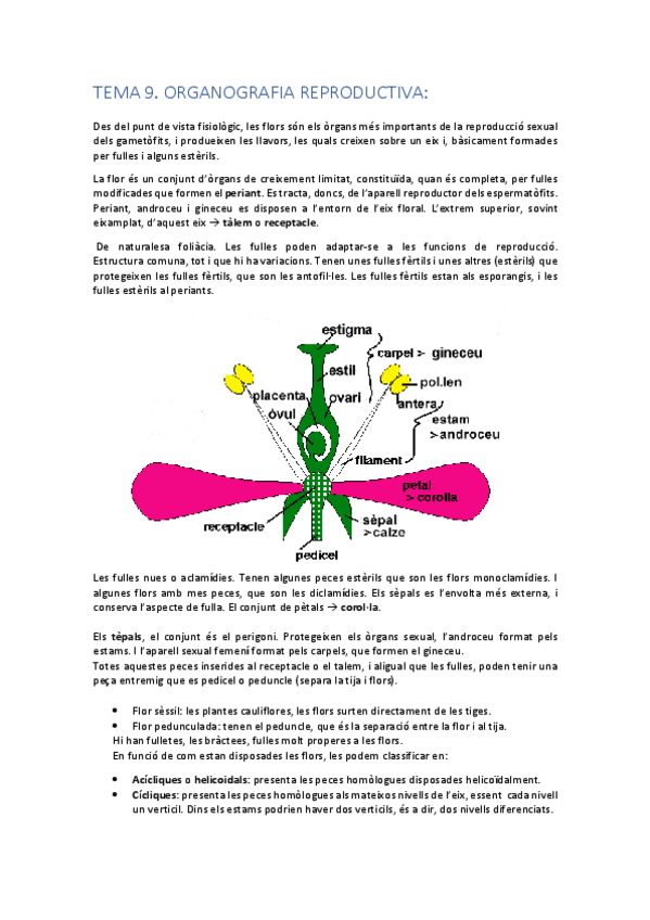 Miniatura del documento tma 9- orgnografia reproductiva.pdf