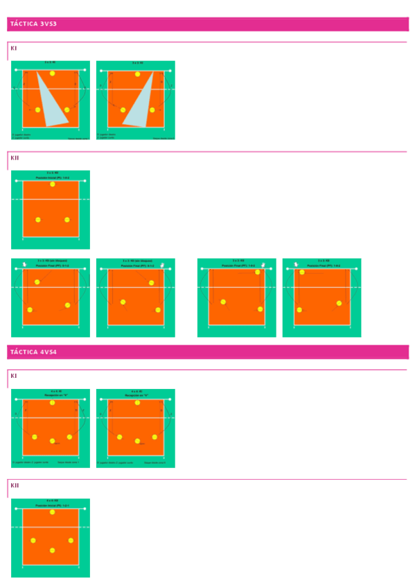 Miniatura del documento TACTICA.pdf