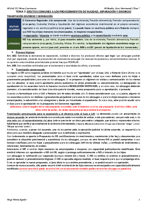 Miniatura del documento TEMA 7 CIVIL IV.pdf
