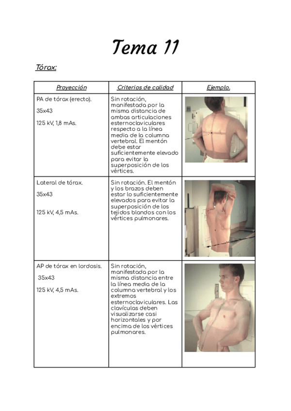 Miniatura del documento Tema-11-radiologia-simple.pdf