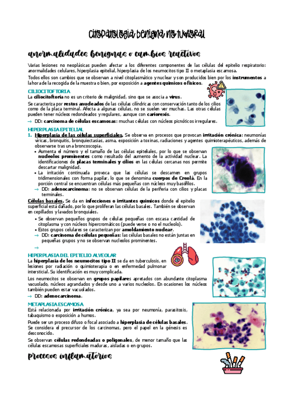 Miniatura del documento 2.1-CITOPATOLOGIA-RESPIRATORIO.pdf